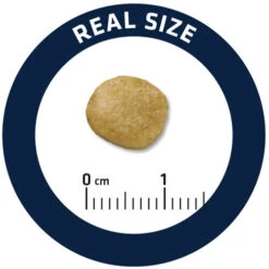 Affinity Advance Veterinary Diets Renal Hund 16 Affinity Advance Veterinary Diets Renal Hund -Trixie Store affinity advance veterinary diets renal hond 177349 0500 none