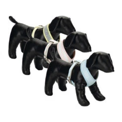 Beeztees Hundegeschirr