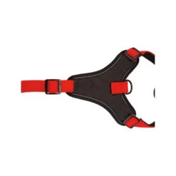 Beeztees Parinca Premium Y-Geschirr -Trixie Store beeztees parinca premium y tuig 199589 0500 none