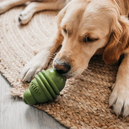 Beeztees Sumo Play Dental 4 Beeztees Sumo Play Dental – Bild 2