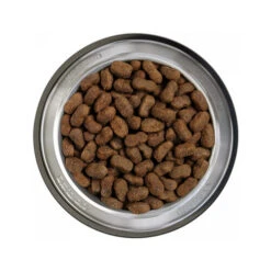Belcando Adult Getreidefreies Hundefutter -Trixie Store belcando adult graanvrij 217774 0500 none