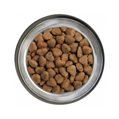 Belcando Adult Getreidefreies Hundefutter -Trixie Store belcando adult graanvrij 217776 0500 none