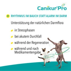 Canikur® Pro Diät-Ergänzungsfuttermittel Für Hunde 9 Canikur® Pro Diät-Ergänzungsfuttermittel Für Hunde -Trixie Store canikur pro 213692 0500 none
