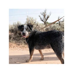 Carhartt Journeyman Leash -Trixie Store carhartt journeyman leash 187047 0500 none