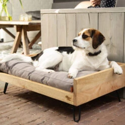 Designed By Lotte Hundebett Turana -Trixie Store designed by lotte ligmand turana 170029 0500 none