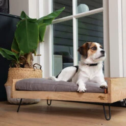 Designed By Lotte Hundebett Turana -Trixie Store designed by lotte ligmand turana 170032 0500 none