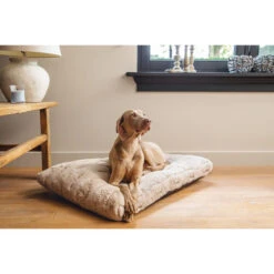 Designed By Lotte Xanti Hundekissen -Trixie Store designed by lotte xanti hondenkussen 188124 0500 none