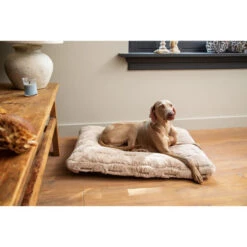 Designed By Lotte Xanti Hundekissen -Trixie Store designed by lotte xanti hondenkussen 188127 0500 none