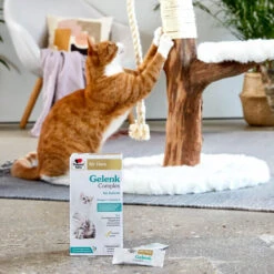 Doppelherz Gelenk Complex Für Katzen -Trixie Store doppelherz gelenk complex fuer katzen 195053 0500 none