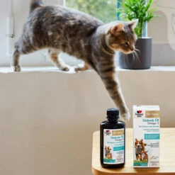 Doppelherz Gelenk Öl Omega-3 Für Katzen Und Hunde -Trixie Store doppelherz gelenk oel fuer katzen hunde 195062 0500 none