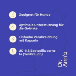 Dr. Ann's Mobility Support Advanced -Trixie Store dr anns mobility support advanced 213137 0500 none