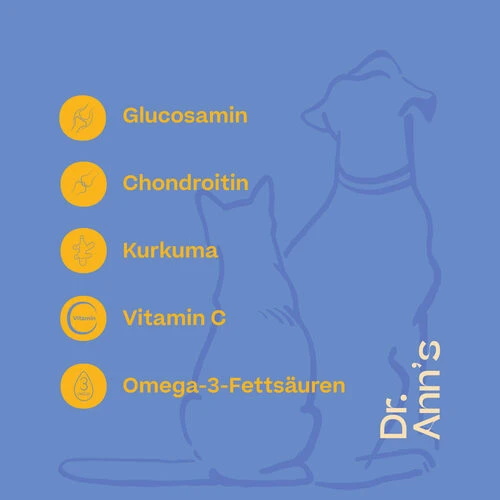 Dr. Ann's Mobility Support Plus 4 Dr. Ann's Mobility Support Plus – Bild 2