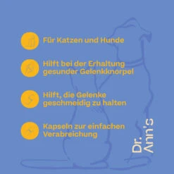 Dr. Ann's Mobility Support Plus 10 Dr. Ann's Mobility Support Plus -Trixie Store dr anns mobility support plus 203063 0500 none