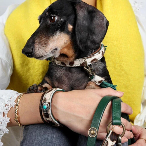 DWAM Hundeleine Ivy 4 DWAM Hundeleine Ivy – Bild 2