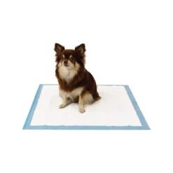 Easypets Trainingpads 9 Easypets Trainingpads -Trixie Store easypets trainingspads 184186 0500 none