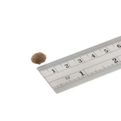 Fish4Dogs Finest Adult Complete - Sardine Kleine Brocken 5 Fish4Dogs Finest Adult Complete - Sardine Kleine Brocken -Trixie Store fish4dogs finest adult complete sardine kleine brok 160934 0500 none