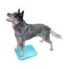 FitPAWS Balance Ramp -Trixie Store fitpaws balance ramp 176140 0500 none