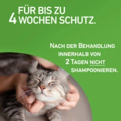 Frontline Combo Spot On Katze -Trixie Store frontline combo spot on kat 208217 0500 none