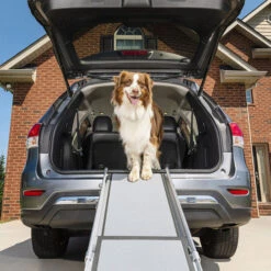 Happy Ride Telescoping Pet Ramp Deluxe -Trixie Store happy ride telescoping pet ramp deluxe 162499 0500 none