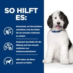 Hill's C/d Multicare Ragout - Prescription Diet - Canine -Trixie Store hills cd multicare stoofpotje prescription diet canine 211406 0500 none