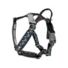 Hurtta Razzle Dazzle Y-Harness - Blackberry -Trixie Store hurtta razzle dazzle harness blackberry 175969 0500 none