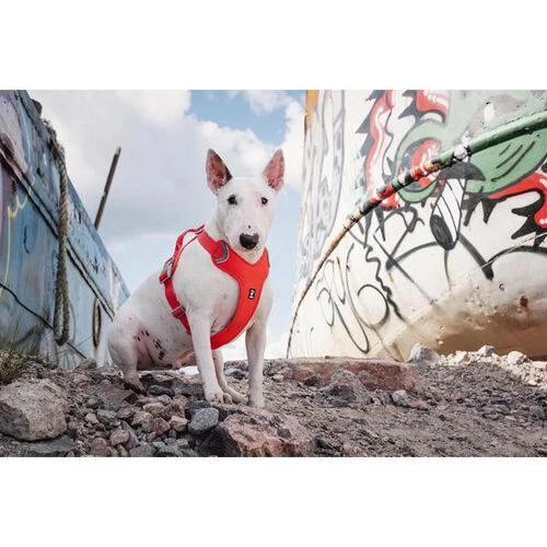 Hurtta Weekend Warrior Eco Geschirr 4 Hurtta Weekend Warrior Eco Geschirr – Bild 2