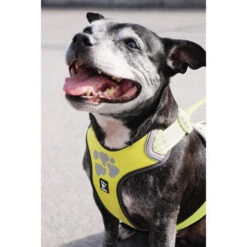 Hurtta Weekend Warrior Geschirr 30 Hurtta Weekend Warrior Geschirr -Trixie Store hurtta weekend warrior harness 189093 0500 none