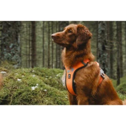 Hurtta Weekend Warrior Geschirr 29 Hurtta Weekend Warrior Geschirr -Trixie Store hurtta weekend warrior harness 189108 0500 none