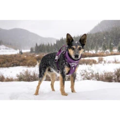 Hurtta Weekend Warrior Geschirr 24 Hurtta Weekend Warrior Geschirr -Trixie Store hurtta weekend warrior harness 189111 0500 none