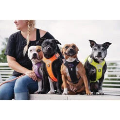 Hurtta Weekend Warrior Geschirr 31 Hurtta Weekend Warrior Geschirr -Trixie Store hurtta weekend warrior harness 189117 0500 none