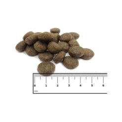 ICEPAW Scandic Duck 6 ICEPAW Scandic Duck -Trixie Store icepaw scandic duck 221035 0500 none