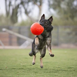 Jolly Soccer Ball -Trixie Store jolly soccer ball 162241 0500 none