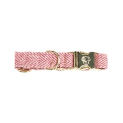Kentucky Dogwear Hundehalsband Wool -Trixie Store kentucky dogwear hondenhalsband wool 219709 0500 none