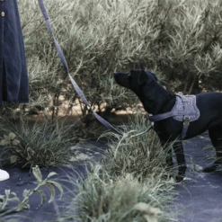 Kentucky Dogwear Hundegeschirr Body Safe Wool -Trixie Store kentucky dogwear hondenharnas body safe wool 219214 0500 none