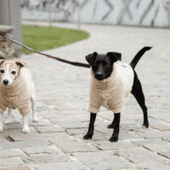 Kentucky Dogwear Hundejacke Teddy Fleece 9 Kentucky Dogwear Hundejacke Teddy Fleece -Trixie Store kentucky dogwear hondenjas teddy fleece 219186 0500 none