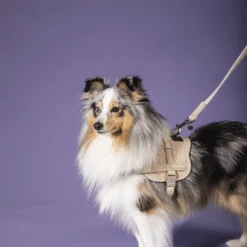 Kentucky Dogwear Hundeleine Wool -Trixie Store kentucky dogwear hondenlijn wool 219684 0500 none