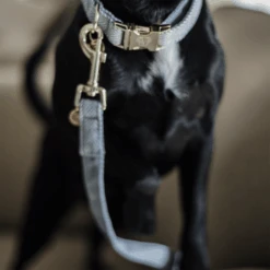 Kentucky Dogwear Hundeleine Wool -Trixie Store kentucky dogwear hondenlijn wool 219689 0500 none