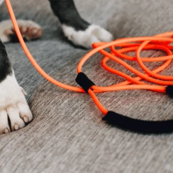 Kentucky Dogwear Schleppleine Soft Rubber 13 Kentucky Dogwear Schleppleine Soft Rubber -Trixie Store kentucky dogwear sleeplijn soft rubber 219203 0500 none