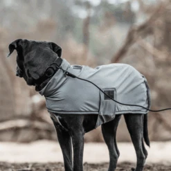 Kentucky Dogwear Soft Rubber Hundehalsband -Trixie Store kentucky dogwear soft rubber hondenhalsband 219265 0500 none