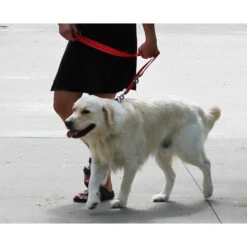 KONG Adjustable Leash -Trixie Store kong adjustable leash zwart 176941 0500 none