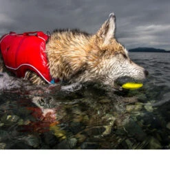 Kurgo Skipping Stones -Trixie Store kurgo skipping stones 99608 0500 none