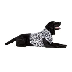 Medical Pet Top Shirt Zebra -Trixie Store medical pet top shirt zebraprint 150704 0500 none