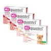 Milquantel Katze 2 Milquantel Katze -Trixie Store milquantel kat 112613 0500 none