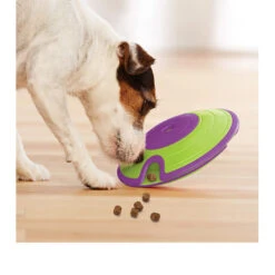 Nina Ottosson Dog Treat Maze -Trixie Store nina ottosson dog treat maze 96110 0500 none