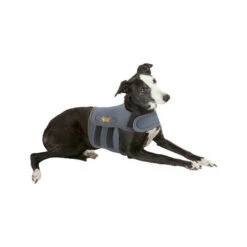 Petlife KarmaWrap Für Hunde -Trixie Store petlife karmawrap hond 154186 0500 none