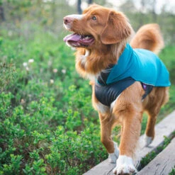 Pomppa Jumppa -Trixie Store pomppa jumppa 190573 0500 none