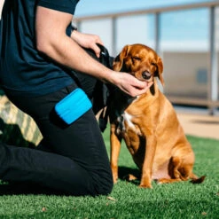 Popware Pooch Pouch Treatbag -Trixie Store popware pooch pouch treatbag 164698 0500 none