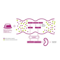 Porus One -Trixie Store porus one 134455 0500 none