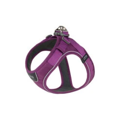 DOG Copenhagen Comfort Walk Go Geschirr -Trixie Store prod 15940 220323 0500 none