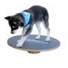 FitPAWS Wobble Board -Trixie Store product fitpaws wobble board none 4 1470905070 76051